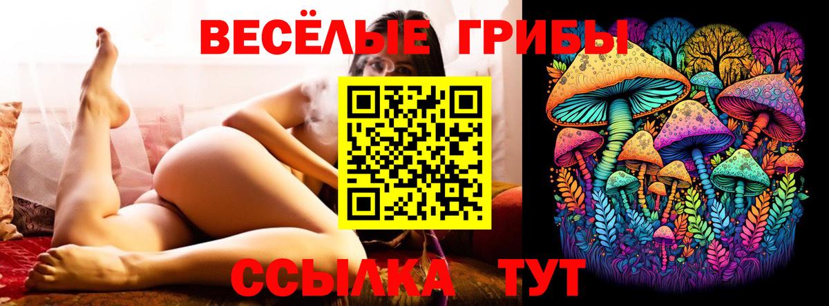 Галлюциногенные грибы Psilocybine cubensis  Вход с VPN  цена наркотик  Губкинский 